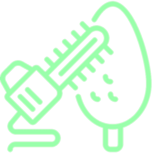 Ağaç &&nbsp;Bitki Budama