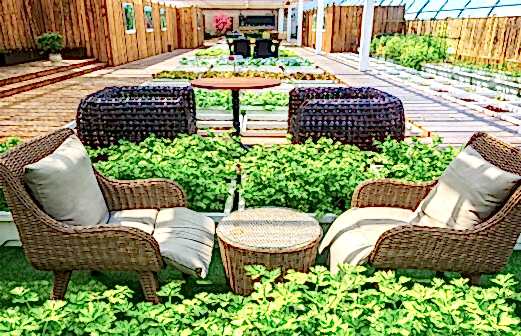 Özel Bahçe Tasarımı: Kişiselleştirilmiş ve Estetik Çözümler