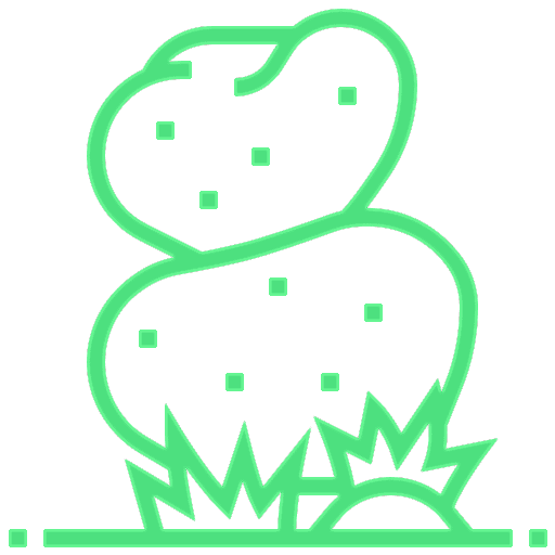 Peyzaj & Bahçe Düzenlemesi