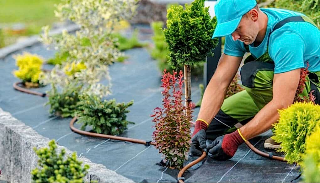 single-services-images-slider-1