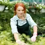 Bahçeniz İçin Mükemmel Bitki Seçimi: İpuçları ve Öneriler