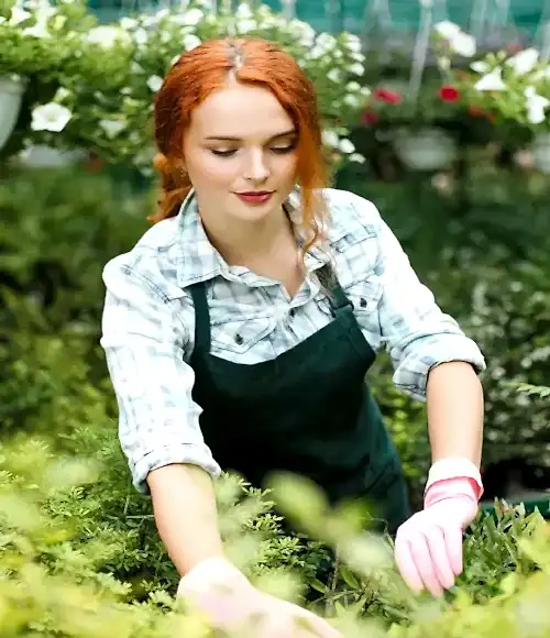 Bahçeniz İçin Mükemmel Bitki Seçimi: İpuçları ve Öneriler