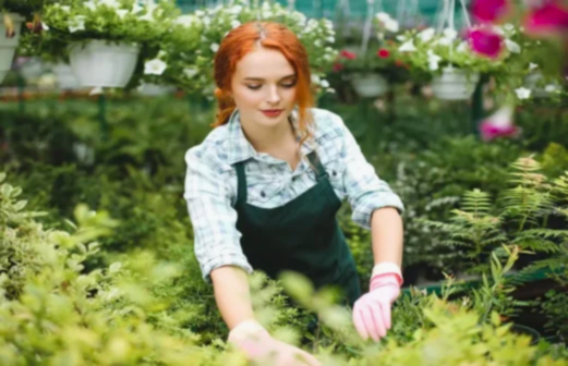 Bahçeniz İçin Mükemmel Bitki Seçimi: İpuçları ve Öneriler