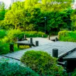 Sürdürülebilir Peyzaj: Çevre Dostu Bahçe Tasarımı