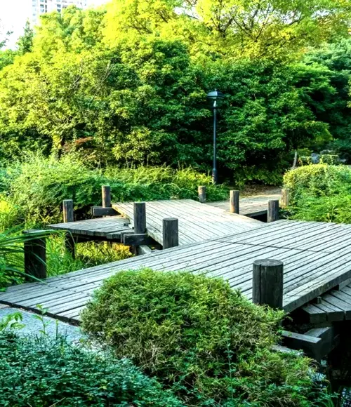 Sürdürülebilir Peyzaj: Çevre Dostu Bahçe Tasarımı